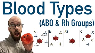 Blood Types ABO and Rh  Antigens and Antibodies [upl. by Daniels]