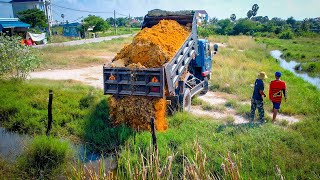 Start a New Project Completed 100 Landfill by Bulldozer D20A Komatsu amp 5Ton Truck Pushing Soils [upl. by Ellekcir860]