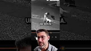 Olha Quanta Informação Em Um Vídeo Só pets cachorro adestramento mestredog [upl. by Sewel]