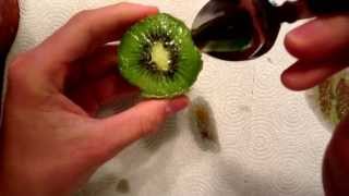 How to properly eat a kiwi fruit [upl. by Humph]