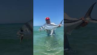 Grande Rooster  part 3  fly fishing for Roosterfish last week [upl. by Onek]