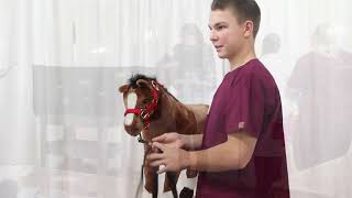 Veterinary Science CDE [upl. by Newra]