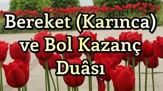 Bereket Duası  Karınca Duası  Bol Rızık Duası  Amin [upl. by Leakcim]