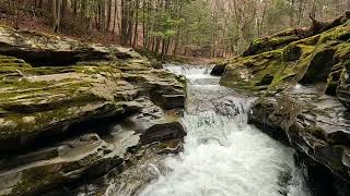 The Rattlesnake Creek Gorge Northeast PA Wilds [upl. by Eelannej]