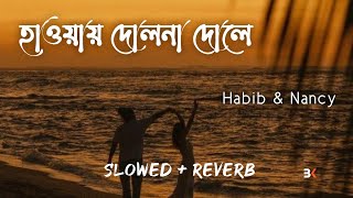 Haway Haway Dolna Dole  Habib amp Nancy Slowed  Reverb  BK SLOWED MUSIC 20 [upl. by Kenrick]