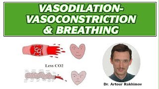 03A VasodilationVasoconstriction Poor Circulation and Breathing Patterns [upl. by Evannia]