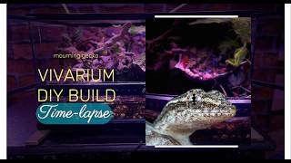 Mourning Gecko Terrarium Build [upl. by Richara93]