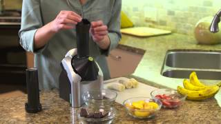 Yonanas Frozen Treat Maker [upl. by Zoi]