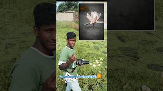 Cenon 1200d best photography cemera test shorts photography camera lens RaazPhotography [upl. by Lovell]