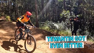 Tewantin Bringing The Goods Hectic MTB Flow Trails Sunshine Coast [upl. by Armil651]