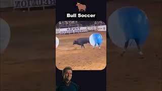 Bull vs Humans Bubble Soccer Chaos superman super shorts memes starman [upl. by Oznerol]