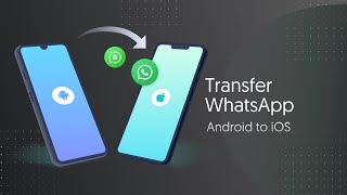 iCareFone WTSapp AndroidiOS App Quick Guide  Transfer WhatsApp from Android to iOS without PC [upl. by Dorreg926]