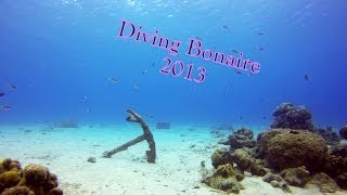 Diving Bonaire 2013 [upl. by Lashonda]