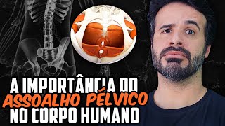 A IMPORTÂNCIA DO ASSOALHO PÉLVICO NO CORPO HUMANO [upl. by Roti]