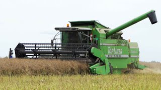 DeutzFahr 4068 HTS Combine harvesting Canola  Harvest 2023 [upl. by Anaejer]