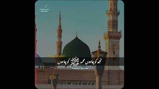 NFAK  WHATSAPP STATUS  QAWALI ❣️foryou nusratfatehalikhan qawwaliforyoupage 500k fypシ゚ [upl. by Cheslie]