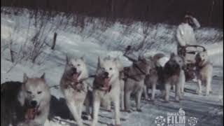 Leonhard Seppala with his dog team [upl. by Cutter]