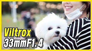 후지카메라의 단짝 빌트록스 단렌즈 33mmF14 XF  viltrox [upl. by Druce214]