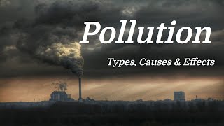 Pollution Mini Documentary Types  Causes  Effects [upl. by Coryden]