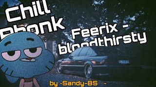 Chill Car Phonk Feerix  bloodthirsty [upl. by Nilyam388]