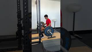 Seated Calf Raise  Barbell [upl. by Analahs]