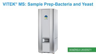 VITEK MS Sample PrepBacteria and Yeast [upl. by Iddo914]