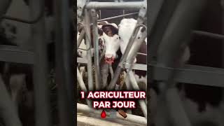 1 agriculteur tout les jours ⚰️🆘 sos agriculture élevage vache montbéliarde mort agriculteur [upl. by Einot]