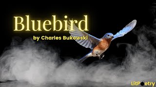 Bluebird by Charles Bukowski Poem Season 1 Episode 16 [upl. by Roshan564]