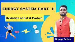 Energy System II Oxidation of Fat amp Protein  Aerobic Energy System  Exercise Physiology By Divyam [upl. by Seta]