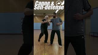 Canne amp Selfdéfense  cannedecombat paris martialarts selfdefense kungfu baton karate [upl. by Jordan618]