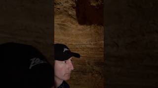 Explore Cave Ecosystems and How to Protect Them caveexploring caveecosystem protectcaves bats [upl. by Ainot]