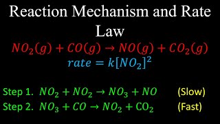 Reaction Mechanism and Rate Law  Chemistry [upl. by Alket303]