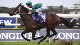 Exceedance wins the 2019 San Domenico Stakes Gr3 at Rosehill [upl. by Elocim]