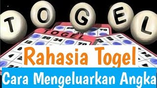 RAHASIA BANDAR MENGELUARKAN HASIL TOGEL [upl. by Sorce65]