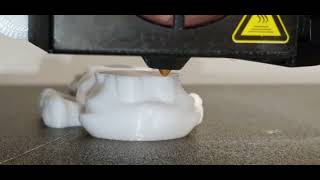 Test extrudeur Ender 3 sur Kingroon KP3S [upl. by Aierbma]