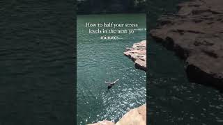 How to Half your stress levels in the next 30 minutes… stressrelief stress anxietyrelief anxiety [upl. by Geffner]