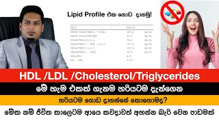 Cholesterol HDL LDL ගැන ඇත්ත දැනගෙන හිටියද Fat Metabolism By Nutritionist Hiroshan Jayaranga [upl. by Aeneus]