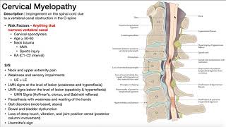 Cervical Myelopathy  Presentation Risk Factors amp SignsSymptoms [upl. by Eniamrej825]