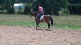 TarryABit Que Serra Canter Video [upl. by Ocihc]