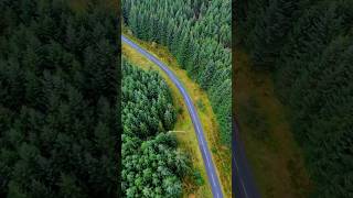 Exploring the Breathtaking Roads Cairngorms National Park  nature naturelovers scotland travel [upl. by Lewis]