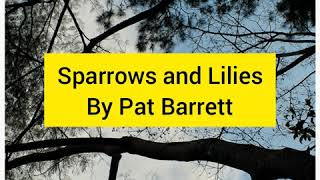 Sparrows and Lilies  Pat Barrett  Cover [upl. by Lewie]