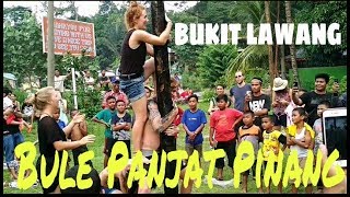 Ngakak Bule Panjat Pinang 17 Agustus 2017 Di Bukit Lawang  Greasy Pole Climbing Contest [upl. by Trudi]