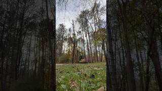 Dislodging a Stuck Tree excavator treework timber [upl. by Lleda751]