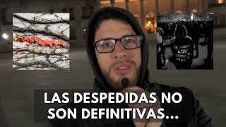 🤔 PRIMERAS IMPRESIONES NUEVA INGLATERRA  JOSÉ MADERO 🎸  Las despedidas no son definitivas [upl. by Sivrahc944]