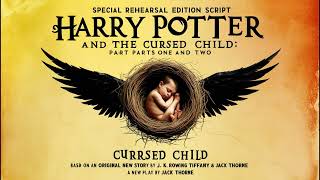 Harry Potter and the Cursed Child Audiobook 3 Summary amp InDepth Review  Wizarding World Insights [upl. by Alyam564]