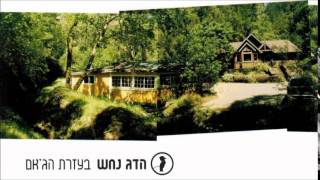 הדג נחש  לוטוס  Hadag Nahash  Lotus [upl. by Buell]