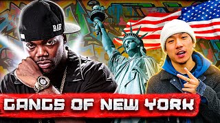 New York Gangs Hazardous Areas Ghettos and Underground Casinos extremeletsgo [upl. by Bordiuk]