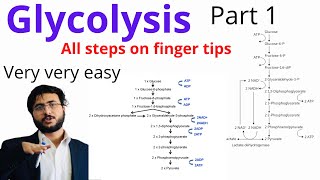 Glycolysis pathway  Carbohydrate Metabolism  Easy way  Steps of glycolysis  Part 1 [upl. by Gredel]