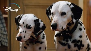 The Puppies get their Collars – 101 Dalmatians HD Movie Clip [upl. by Sheba]