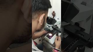 Pus cells under microscope  Urine examination under microscope youtubeshorts feedshorts bmlt [upl. by Nonnaihr]